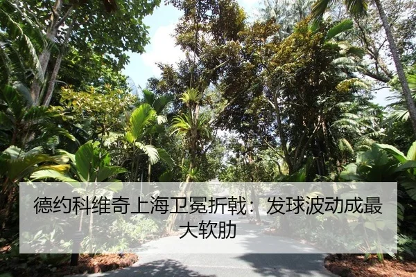 de-yue-ke-wei-qi-shang-hai-wei-mian-zhe-ji-fa-qiu-bo-dong-cheng-zui-da-ruan-lei-2-973.jpg